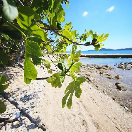 Mobile Plumeria 3 Dom wakacyjny *