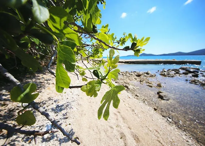 Mobile Plumeria 3 Vikendica *